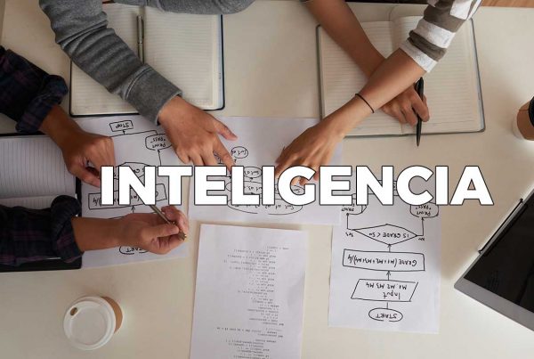 Dimensiones de la inteligencia Cómo fuciona la inteligencia