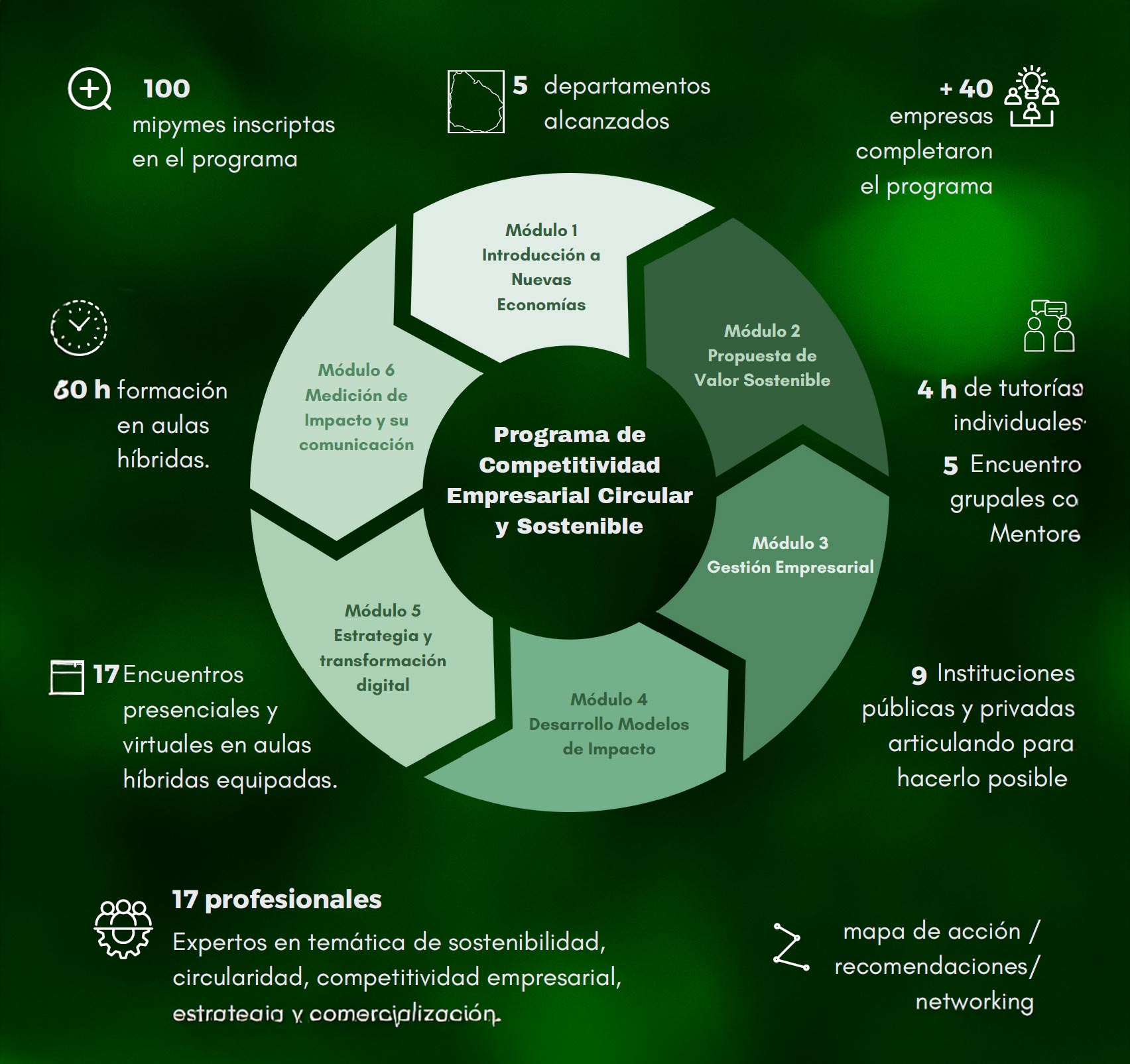 Resumen Programa Ude Competitividad Empresarial